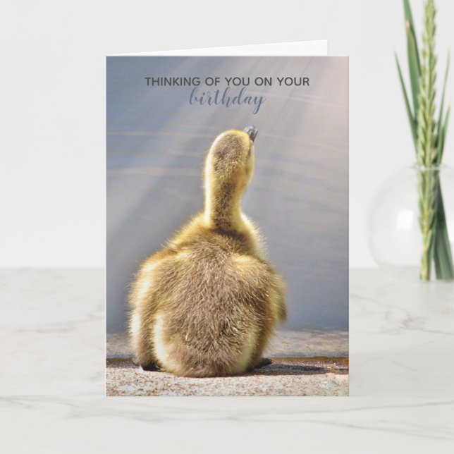 Tarjeta de deseo de cumpleaños soleado (Anverso)