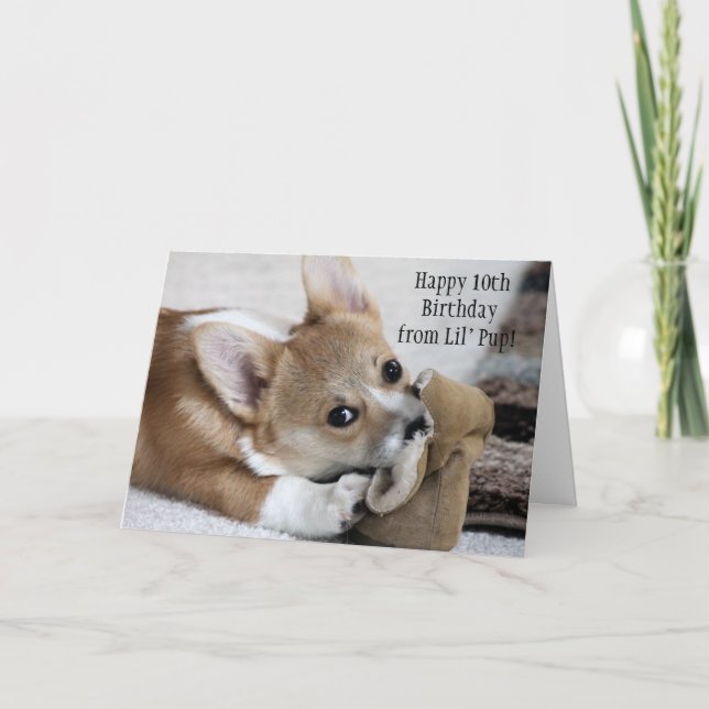 Tarjeta de deseos de cumpleaños Corgi (Anverso)