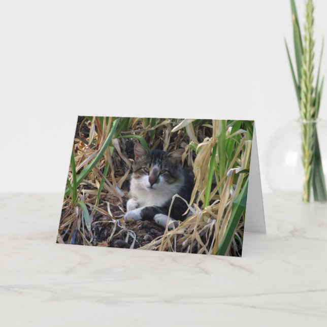 Tarjeta de deseos de cumpleaños Kitty (Anverso)