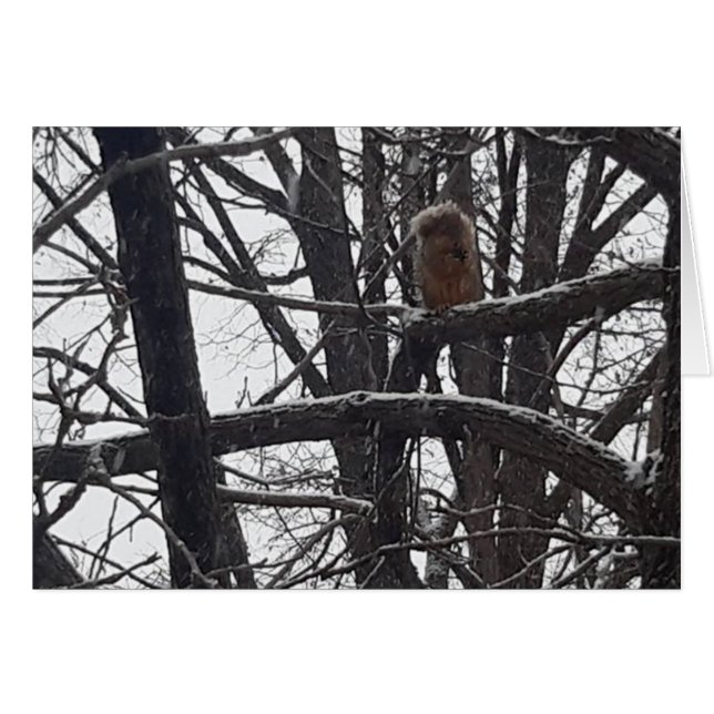 Tarjeta de deseos de temporada de invierno para la (Anverso (Horizontal))