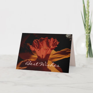 Tarjeta de Deseos Óptimos