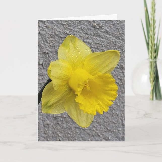 Tarjeta de Día de la Madre Amarilla Daffodil (Anverso)