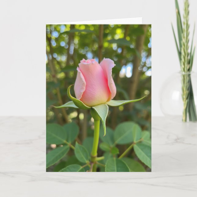 Tarjeta de Día de la Madre con Rosa Rosa Flor (Anverso)
