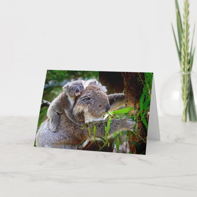 Tarjeta de Día de la Madre de Koala y Joey (Anverso)