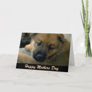 Tarjeta de Día de la Madre del perro