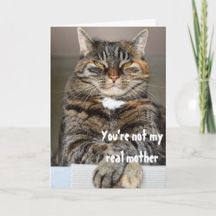 Tarjeta de Día de las Madres Gato Enojado y Juzgad