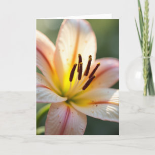 Tarjeta de Día de las Madres Luz Radiante