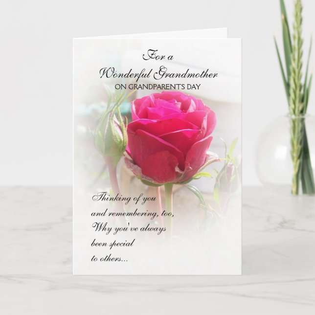 Tarjeta de Día de los Abuelos Rosa Rosebud (Anverso)