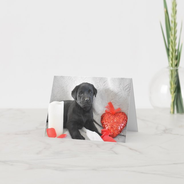 Tarjeta de Día de San Valentín de cachorros de Lab (Anverso)
