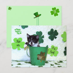Tarjeta de Día Foxie Cat St. Patrick