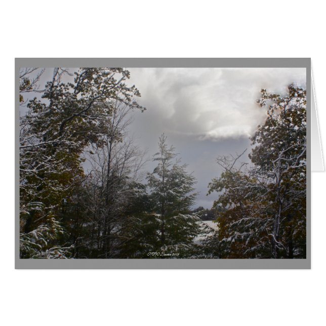 Tarjeta de día gris (Anverso (Horizontal))