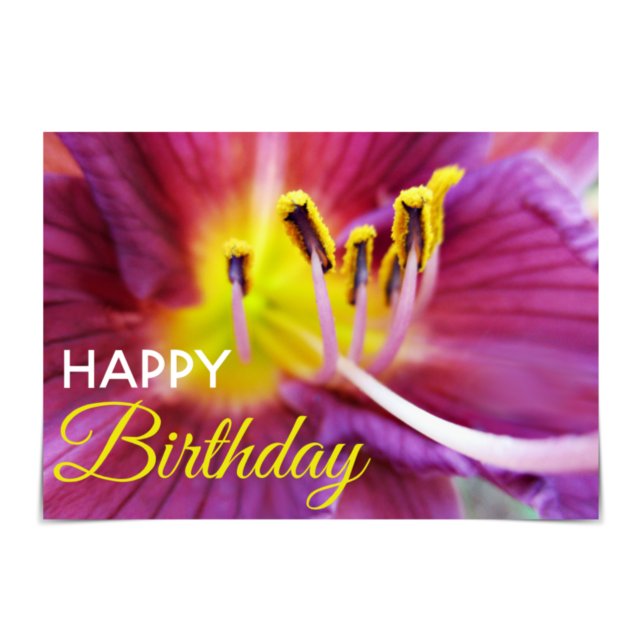 Tarjeta de día morado y amarillo "Feliz cumpleaños (Happy Birthday! This card features a purple and yellow lily.)