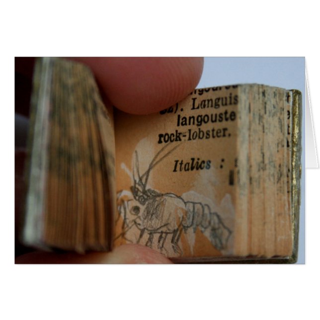Tarjeta de dibujo de cangrejo de libro en miniatur (Anverso (Horizontal))