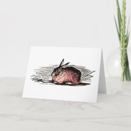 Tarjeta de dibujo de conejo rojo vintage