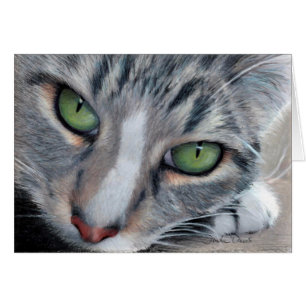 Tarjeta de dibujo de observación del Tabby