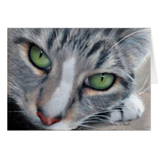 Tarjeta de dibujo de observación del Tabby