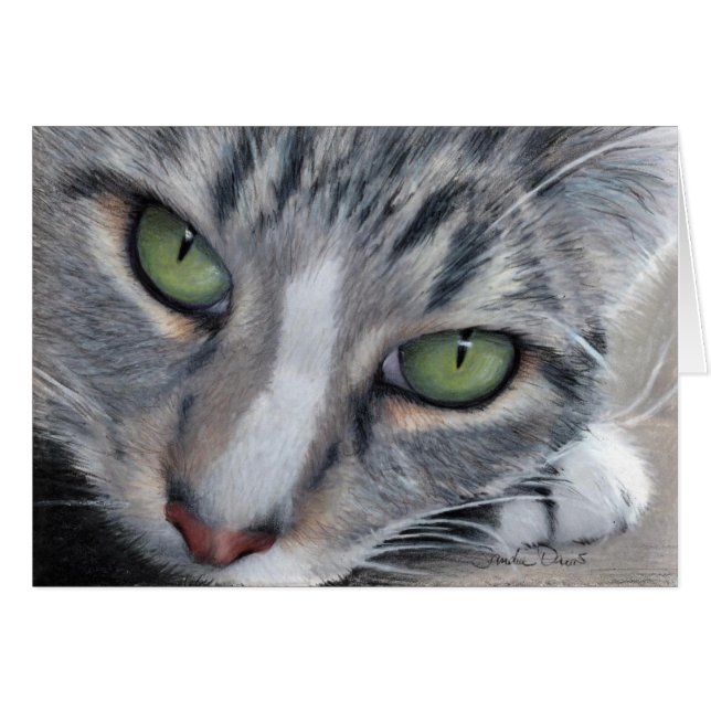 Tarjeta de dibujo de observación del Tabby (Anverso (Horizontal))