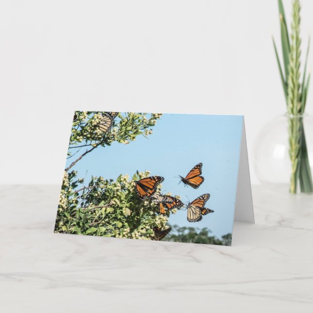 Tarjeta de dinero (Anverso)