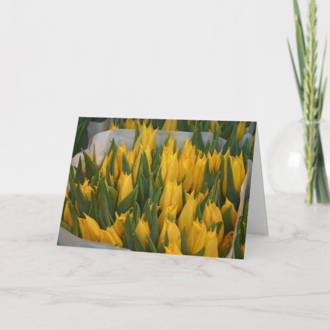 Tarjeta de disculpa (Anverso)