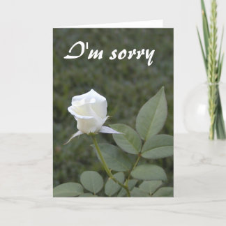 Tarjeta de disculpa blanca de rosebudo