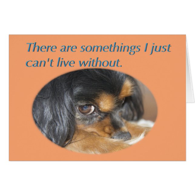 Tarjeta de disculpa con Cavalier King Charles Span (Anverso (Horizontal))