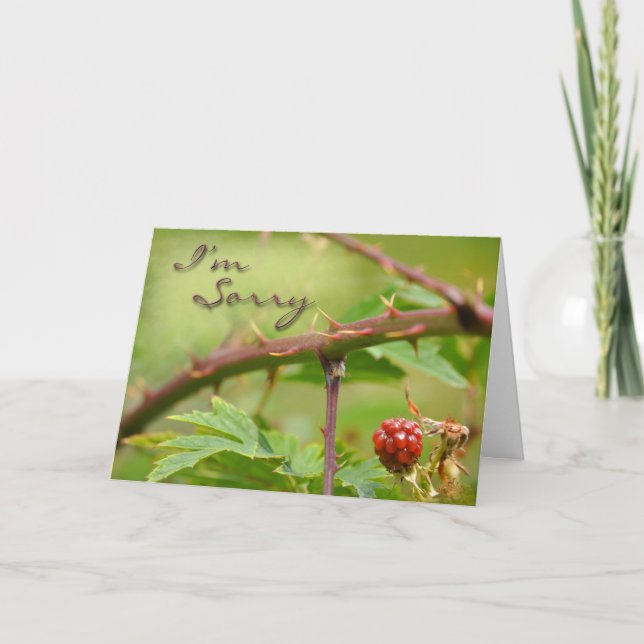 Tarjeta de disculpa Perdón por ser espinoso (Anverso)