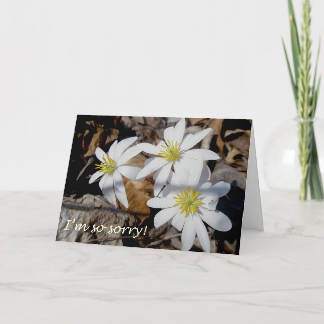 Tarjeta de disculpas de Trío de Bloodroot (Anverso)