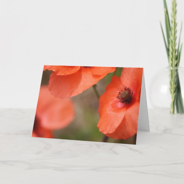 Tarjeta de disquete (Anverso)