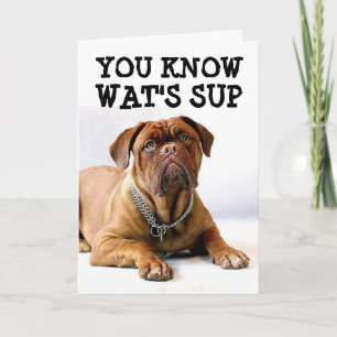TARJETA DE DIVERSIÓN DEL CUMPLEAÑOS DE MASTIFF DOG