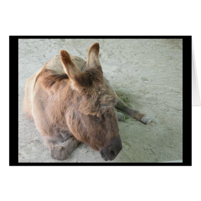 Tarjeta de donkey (Anverso (Horizontal))