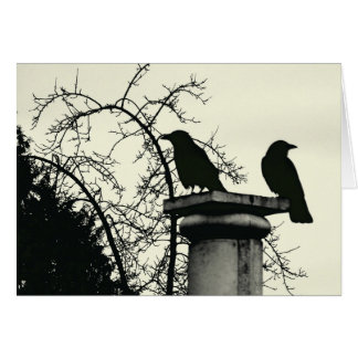 Tarjeta de dos Blackbirds 5x7