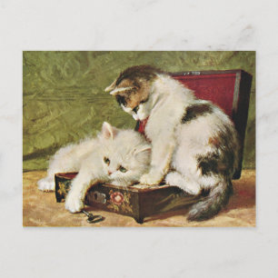 Tarjeta de dos gatitos juguetones