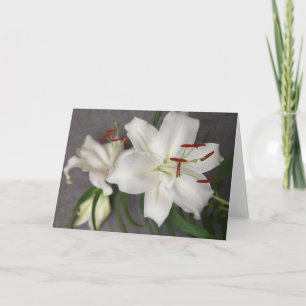 Tarjeta de dos lirios blancos