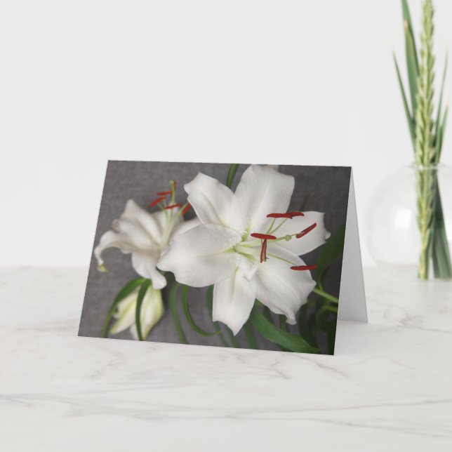 Tarjeta de dos lirios blancos (Anverso)