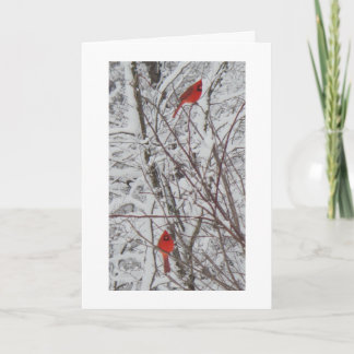 Tarjeta de dos Navidades Cardinales White Border 5
