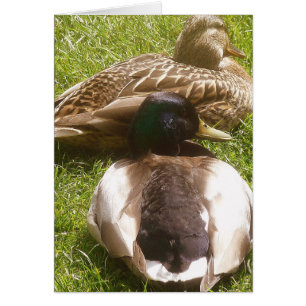 Tarjeta de dos patos recortados