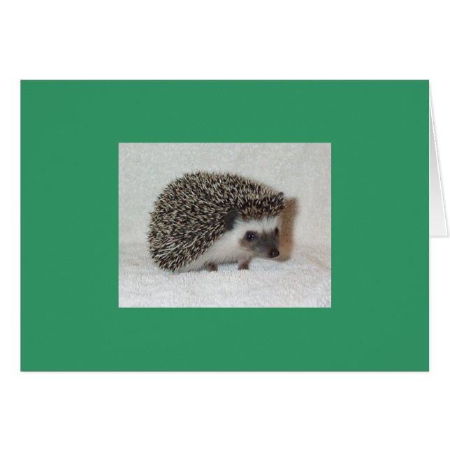 Tarjeta de edgehog oscuro (Anverso (Horizontal))