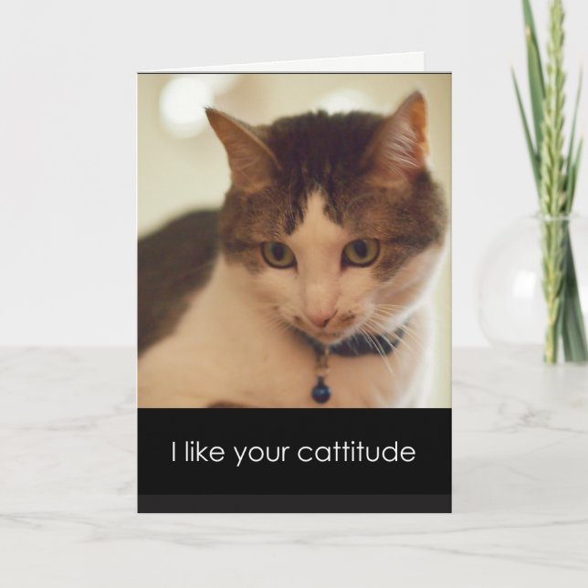 Tarjeta de El día de San Valentín Catitude (Anverso)