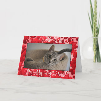 Tarjeta de El día de San Valentín de gatito (Resca