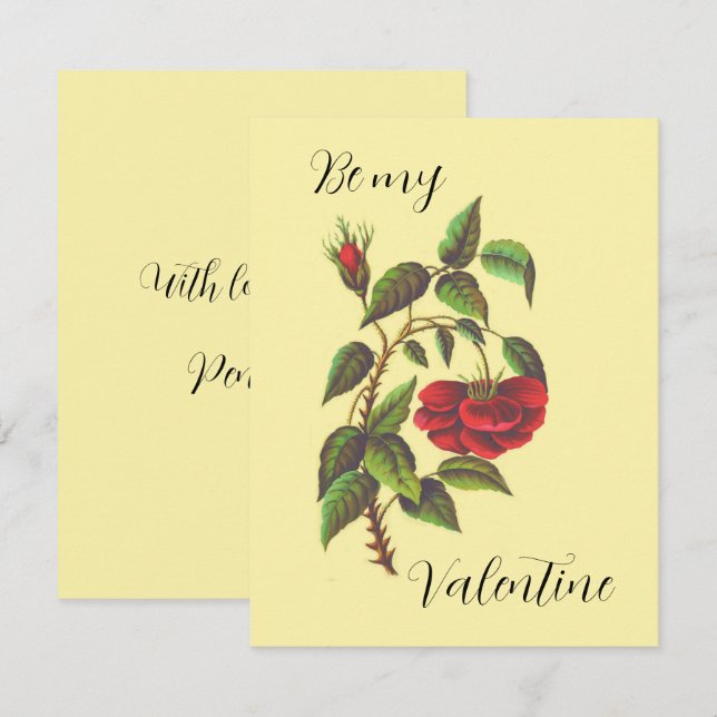 Tarjeta de El día de San Valentín de rosa rojo sal (Anverso / Reverso)