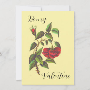 Tarjeta de El día de San Valentín de rosa rojo sal