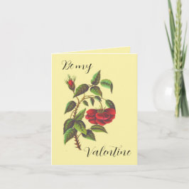 Tarjeta de El día de San Valentín de rosa rojo sal