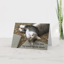 Tarjeta de El día de San Valentín del gato mundial