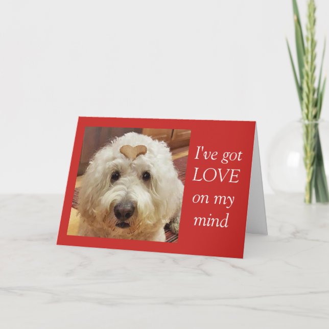 Tarjeta de El día de San Valentín Goldendoodle (Anverso)