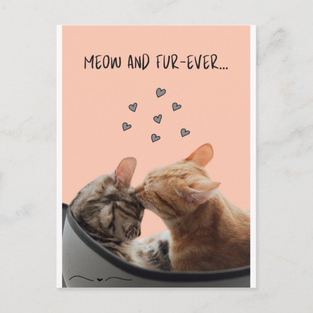 Tarjeta de el día de San Valentín, Meow y FurEver (Anverso)