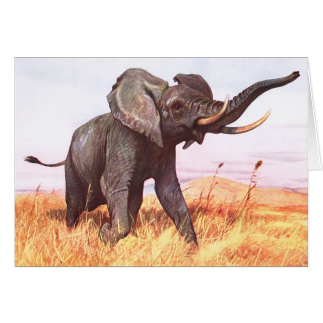 Tarjeta de elefante africana (Anverso (Horizontal))