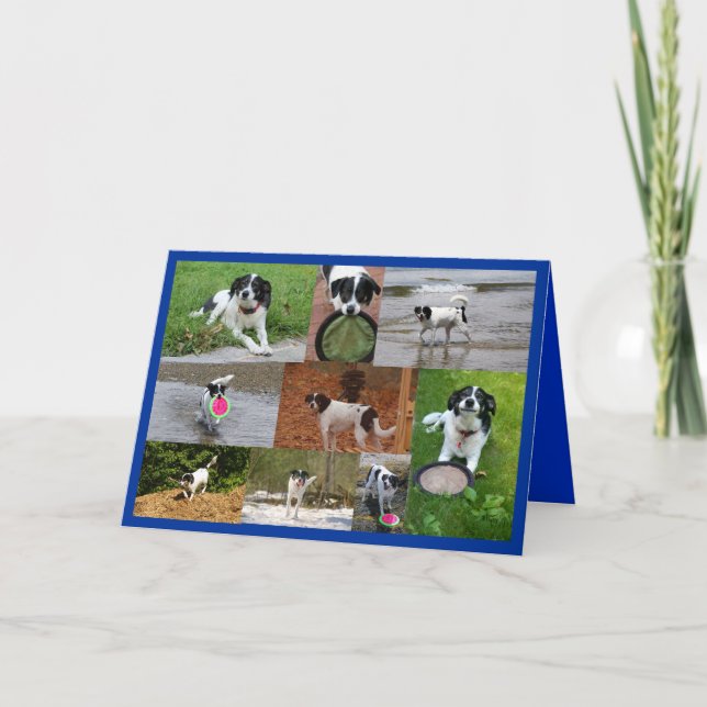 Tarjeta de Emily (Anverso)
