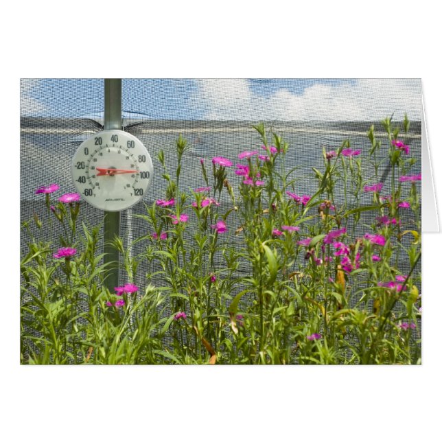 Tarjeta de enfermería de la casa caliente (Anverso (Horizontal))