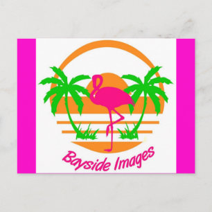 TARJETA DE ENTRADA DE IMÁGENES DE BAYSIDE DE FLAMI