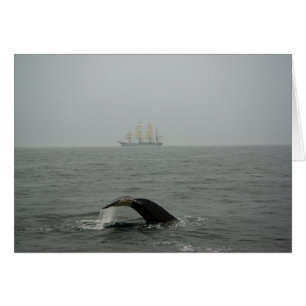 Tarjeta de envío de ballena y ballena jorobada 2